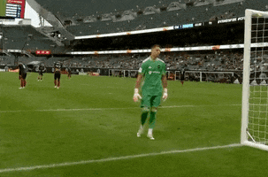 Sad Come On GIF by Major League Soccer