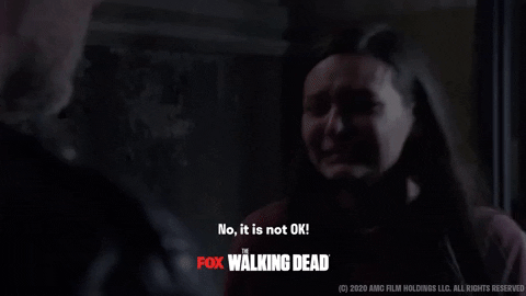 foxnederland giphyupload GIF