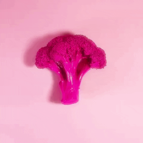 stop motion bubblegum GIF by Evan Hilton