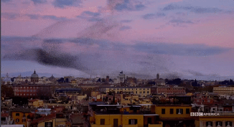 GIF by Vulture.com