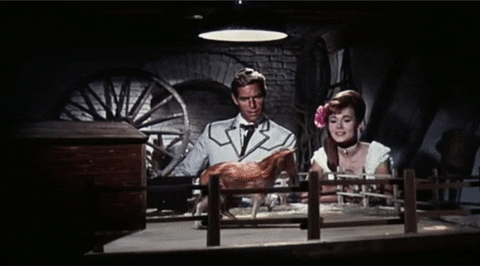 sci fi tiny horse GIF by Warner Archive