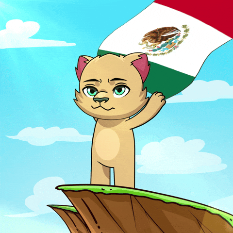 Mexico City GIF by Kabu