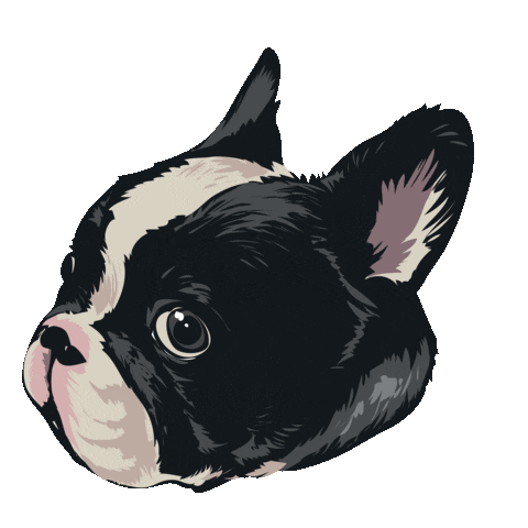 French Bulldog Dog Sticker by GevenMedia