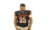 Cnfb Sticker by Carson-Newman Athletics
