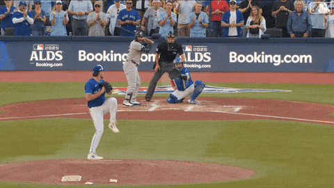 Blue Jays Canada GIF by Toronto Blue Jays