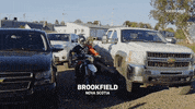 GIF by Dead Set on Life