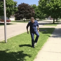 GIF by Brittlestar