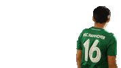 Football Sport Sticker by HSC Hannover