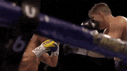 Espn Fighting GIF by Top Rank Boxing