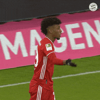 Champions League Reaction GIF by FC Bayern Munich