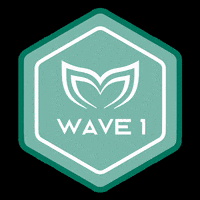Wave1 GIF by Molchanovs