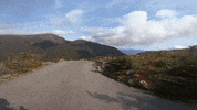 Gotham Ducati GIF by Gotham Ducati Desmo Owners Club