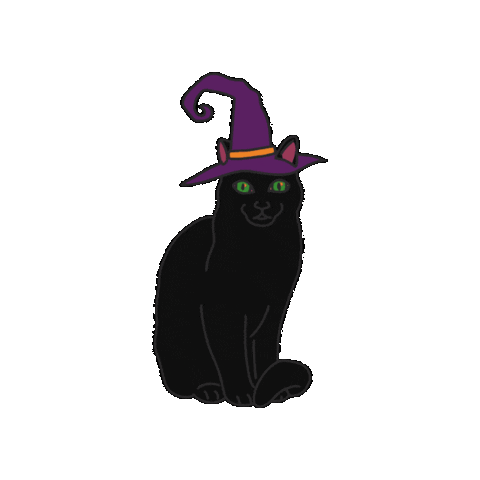 Cat Party Sticker by wwwe GmbH