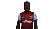 Premier League Maxi Sticker by West Ham United