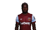 Premier League Maxi Sticker by West Ham United