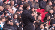 london football GIF by Tottenham Hotspur