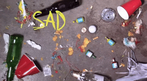 chrstphrbrwn party party hard partying fidlar GIF