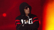 Big Daddy Kane GIF by VERZUZ