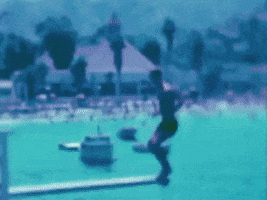 Merry Go Round Dancer GIF by Stray Fossa