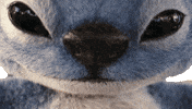 Lilo And Stitch GIF by Walt Disney Studios