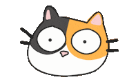 Cat Wow Sticker