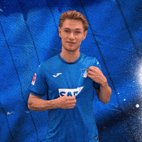 Sport Logo GIF by TSG Hoffenheim
