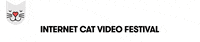catvidfest GIF by Internet Cat Video Festival