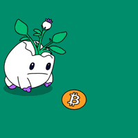 Crypto Bitcoin GIF by Magic Eden