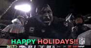 2018 Nfl Football GIF by NFL