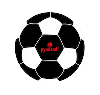 Europameisterschaft Sticker by Pyroland