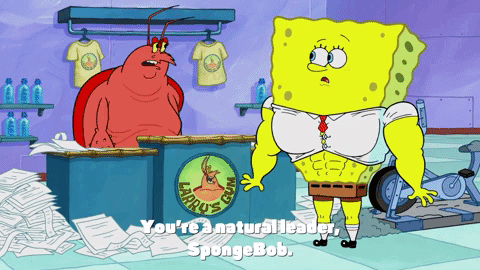 season 9 GIF by SpongeBob SquarePants