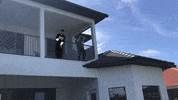 BartosGroup kikichallenge joe bartos joebartos GIF