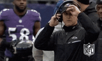 Baltimore Ravens Football GIF by NFL