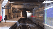 Train Departure GIF by euronews
