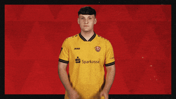 Dynamo Dresden Football GIF by Bundesliga