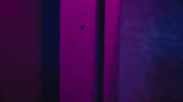 Doja Cat Whos There GIF by EMPIRE