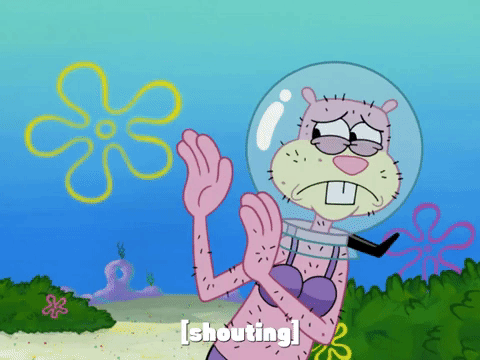 season 7 episode 3 GIF by SpongeBob SquarePants