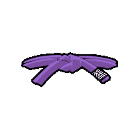 Purple Belt Sticker by Albino & Preto