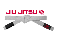 Bjj Jiu Jitsu Sticker by Sanabul