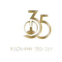assobrafir 35 anos assobrafir fisisoterapia Sticker