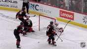 Happy Washington Capitals GIF by NHL