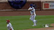 Ny Mets Baseball GIF by New York Mets