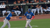Blue Jays Baseball GIF by Toronto Blue Jays