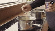 GIF by Parampara