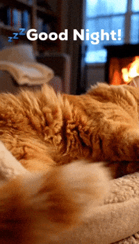Tired Good Night GIF