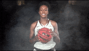 Littlerockwbb GIF by Little Rock Athletics