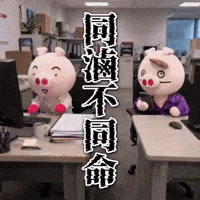 Pig Fate GIF