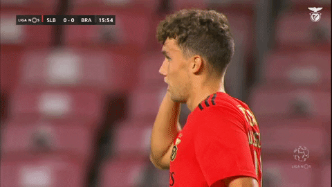 Sl Benfica Slbgif GIF by Sport Lisboa e Benfica