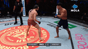 Knockout Reaction GIF by MolaTV
