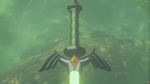 Nintendo Switch Link GIF